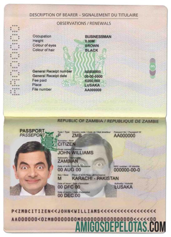 Passaporte da Zâmbia baixar para verificação